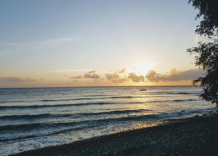 Ocean Амед